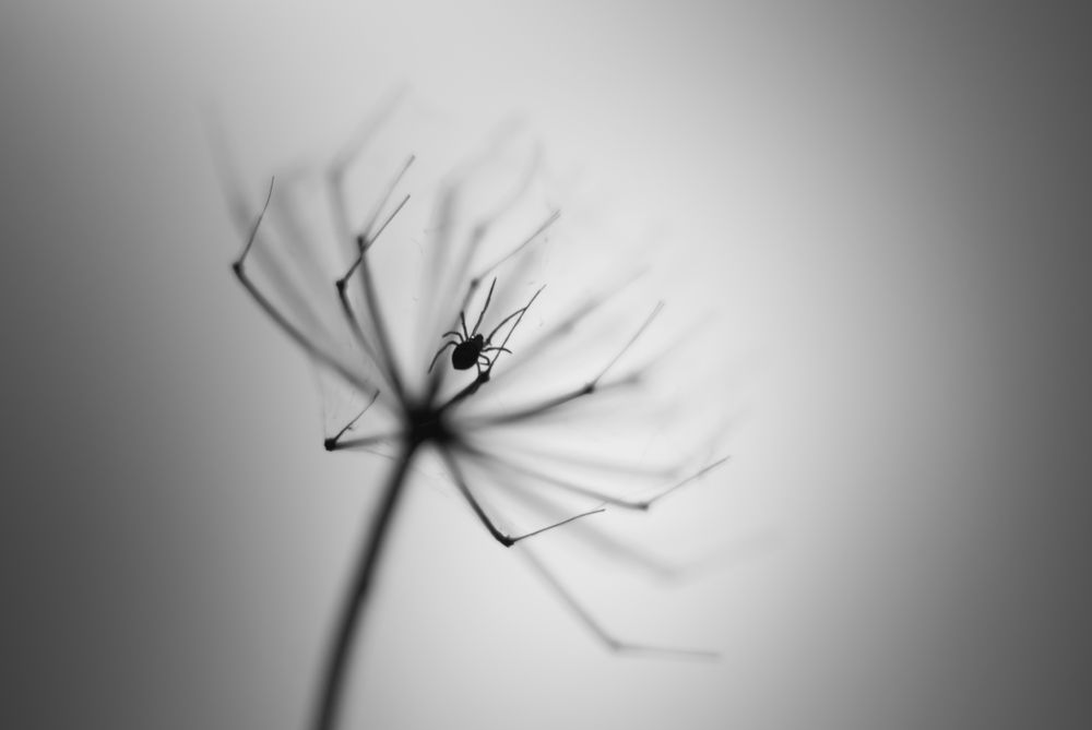 Под защитой