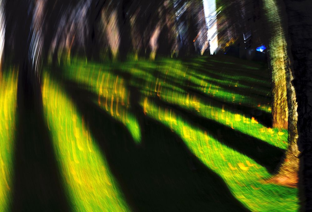 Осенний день...декабря!