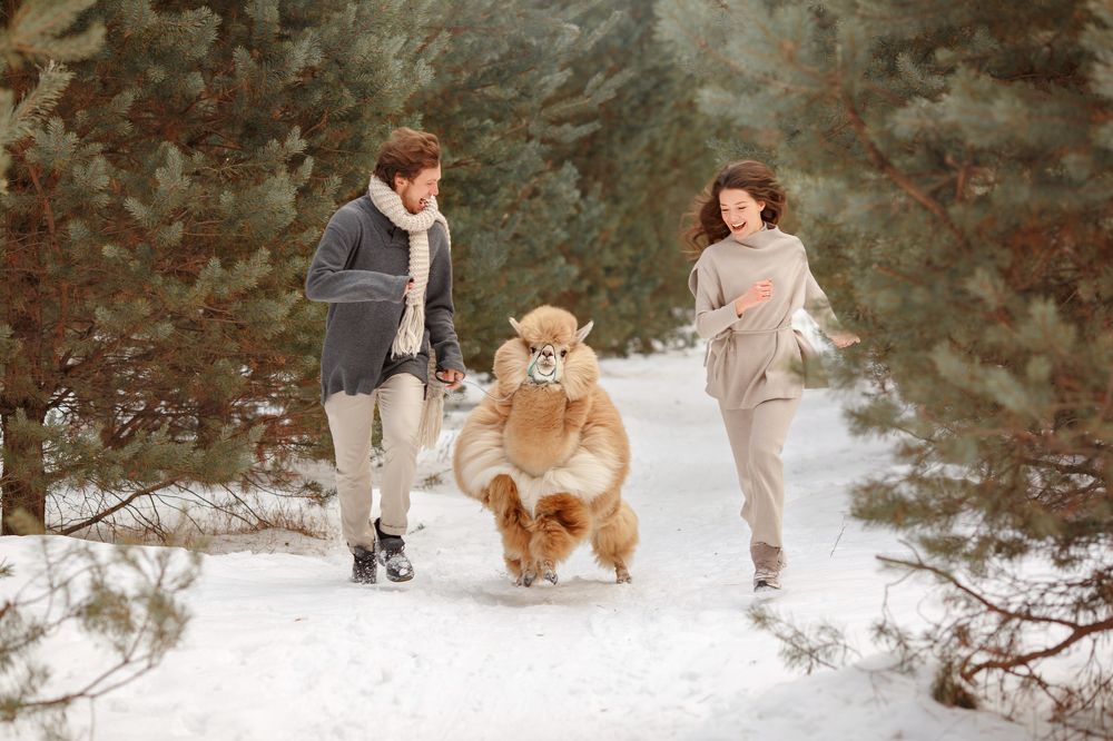 Вместе веселее