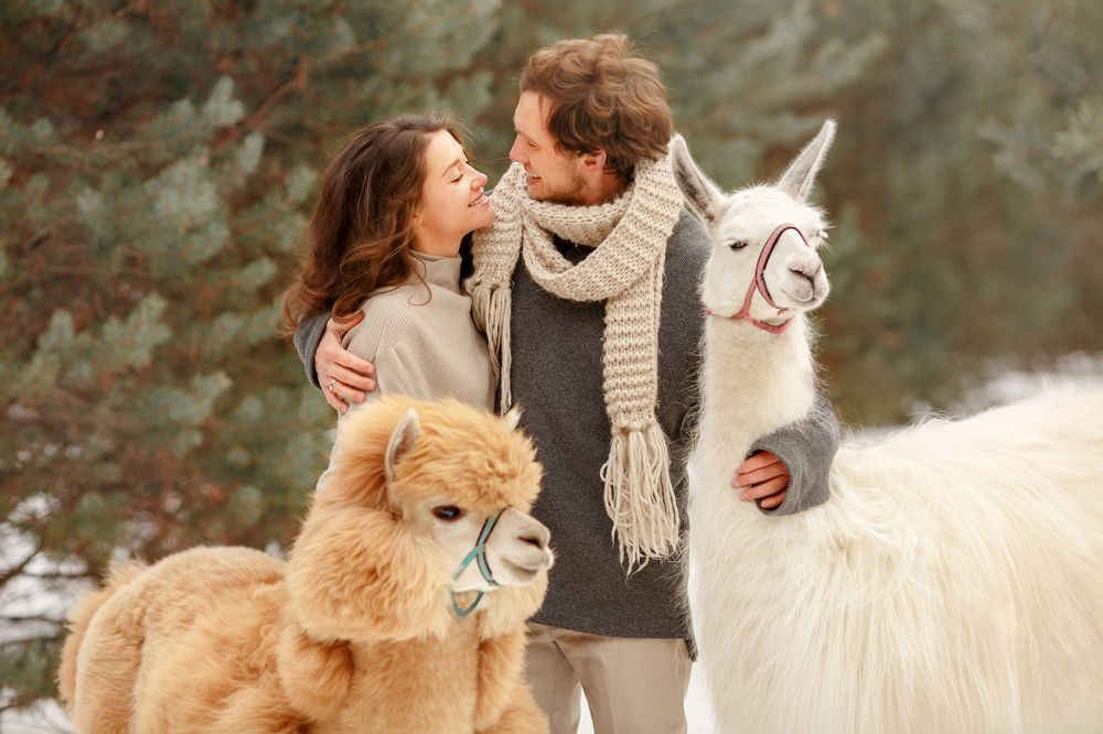 Влюбленные