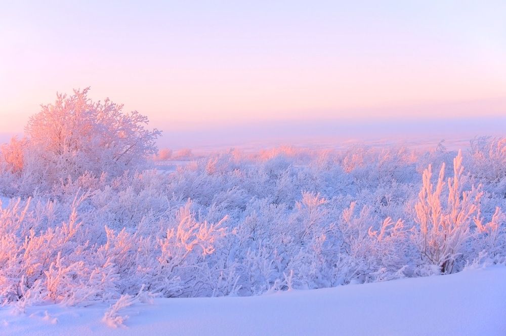 За Полярным кругом