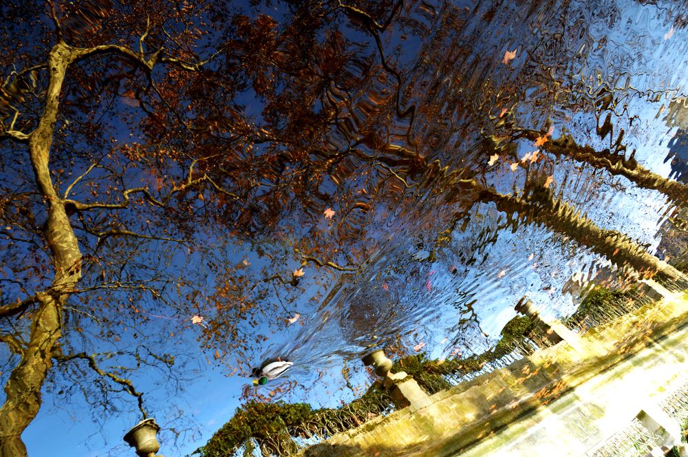 Рефлексия зимы