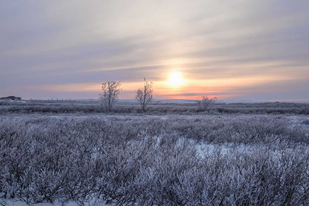 Полярная ночь