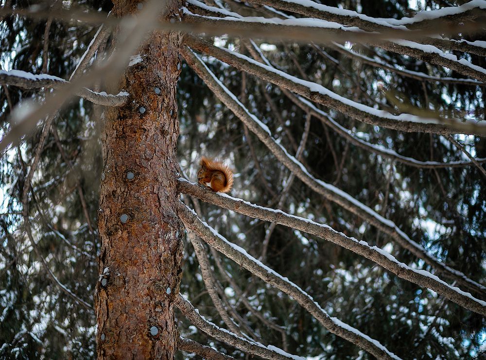 Photograph by наталья руденко