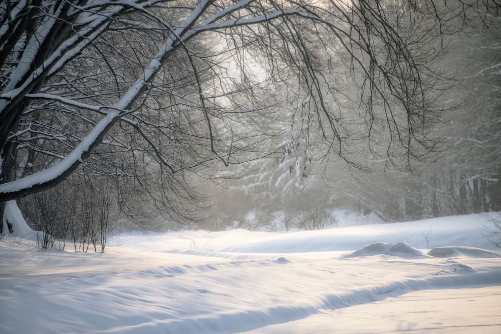 Photograph by Natalia Strelnik