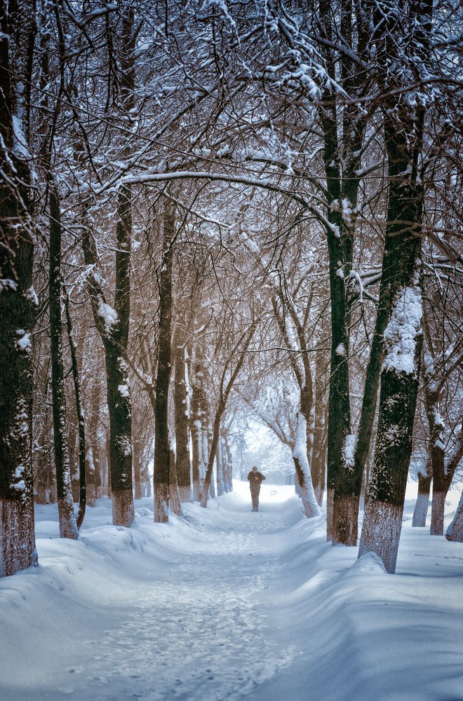 А снег идет, а снег идет...