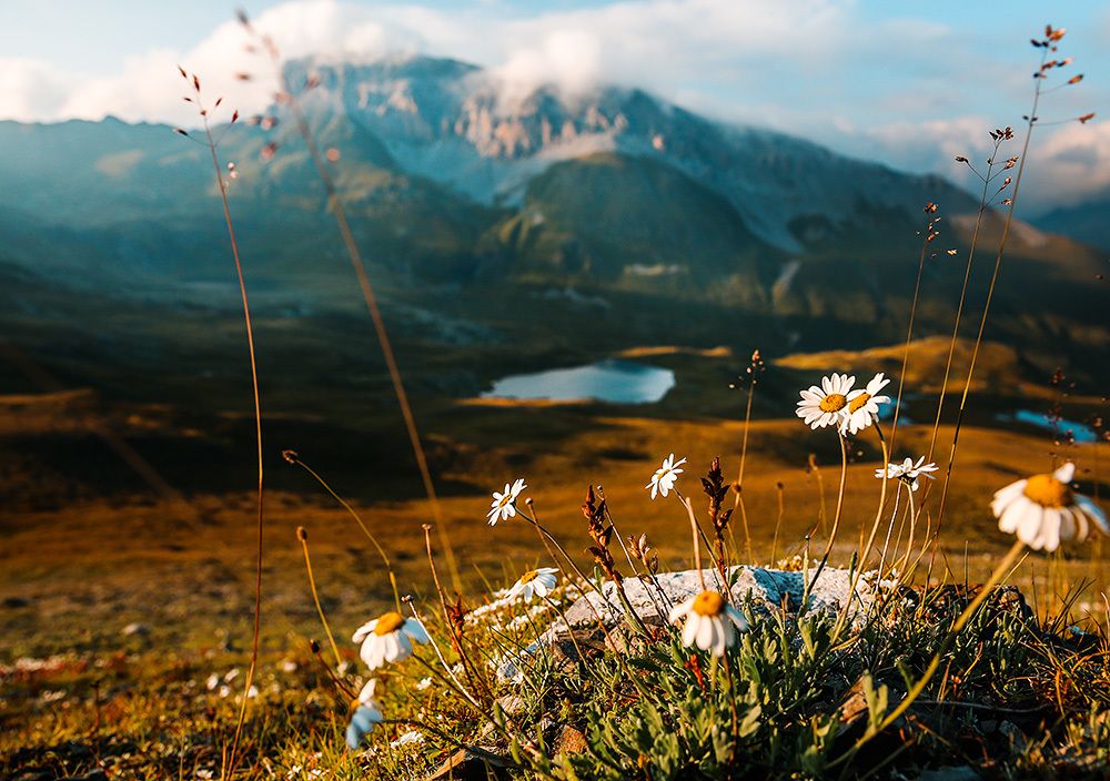 Золотое дно