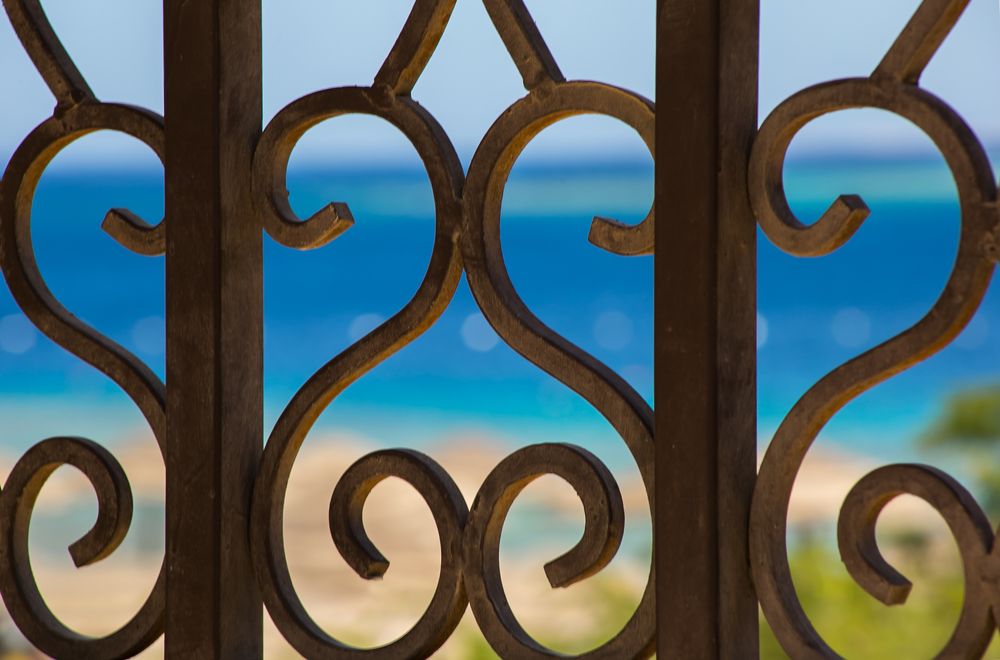 Фотография автора Ольга Матусевич