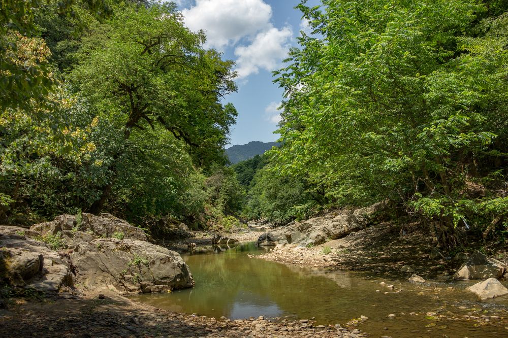 В летний полден в Талышских горах