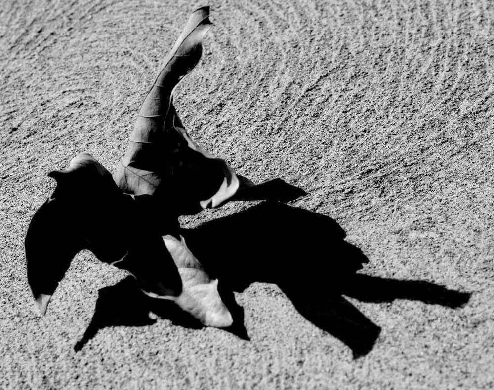 Абстракция природы