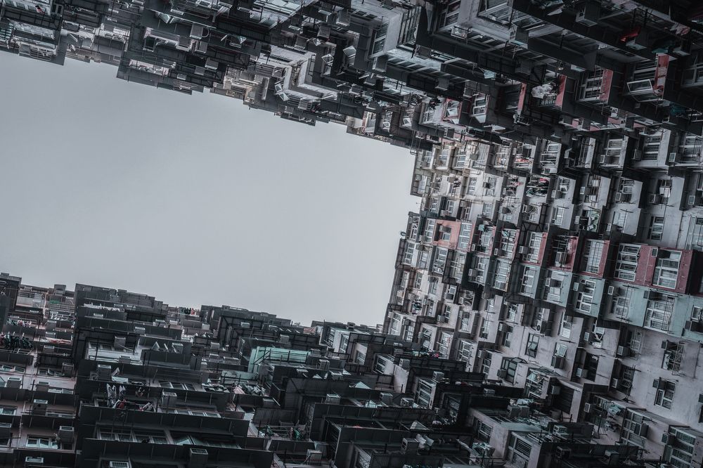 The ghost in the shell