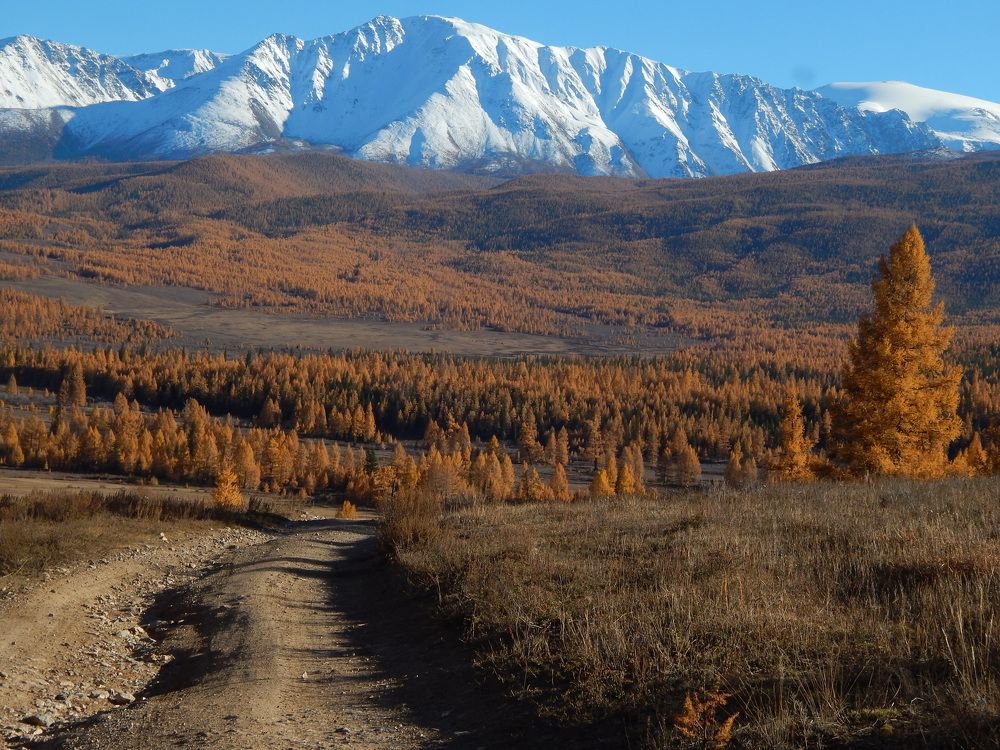 Photograph by Константин