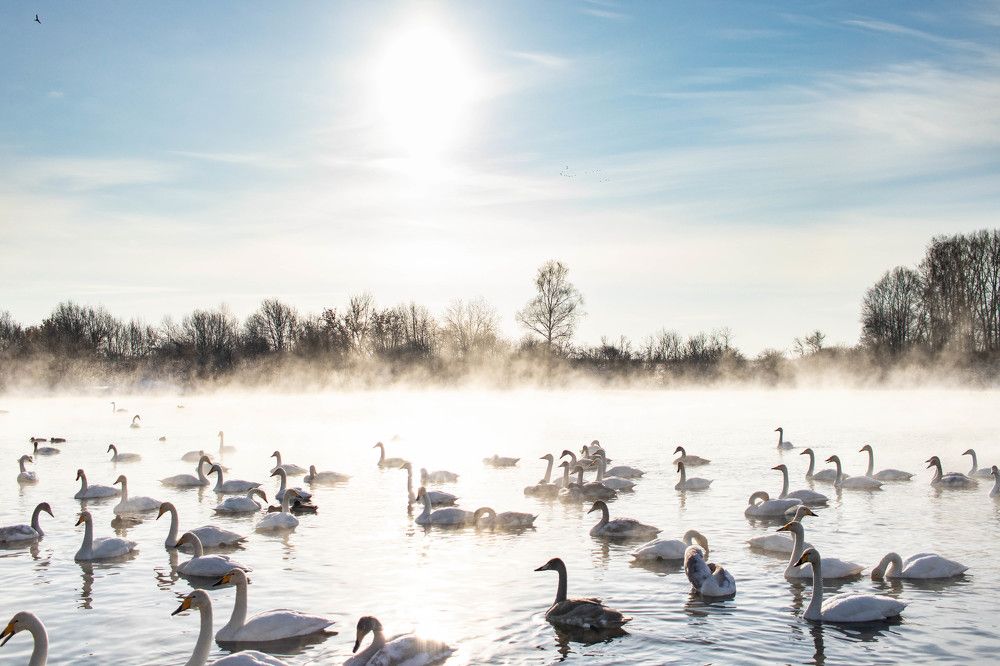 Photograph by Терентьев Георгий