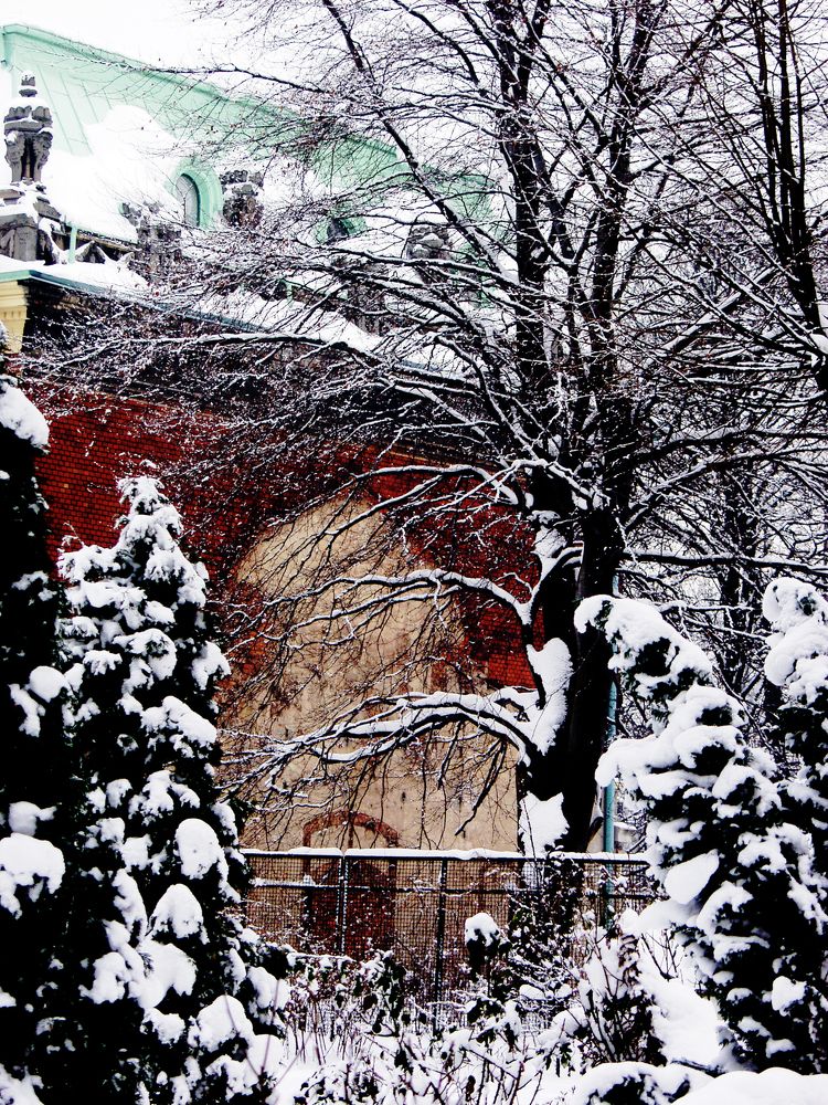 10/5000 winter palace