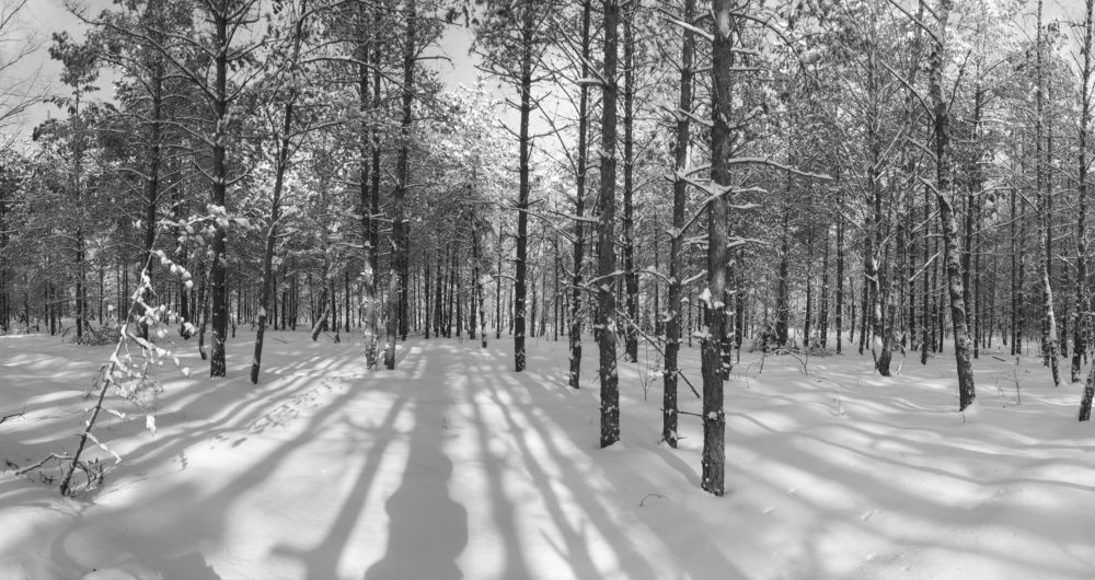 Снежная каша