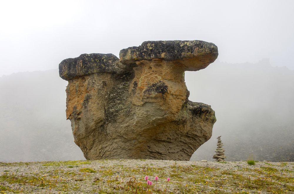 Каменный гриб