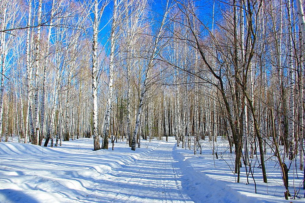 Морозное утро