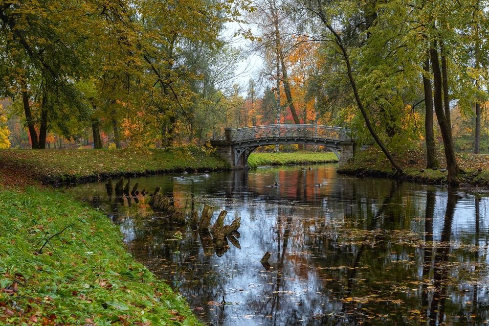 Photograph by Константин