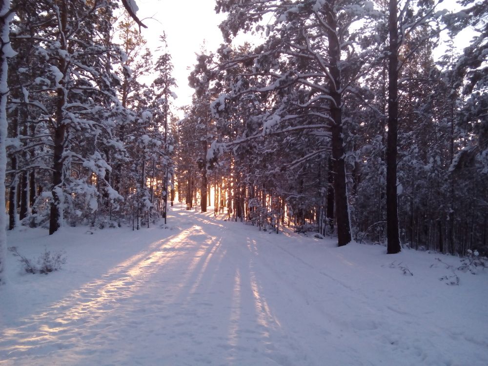 Зимняя сказка