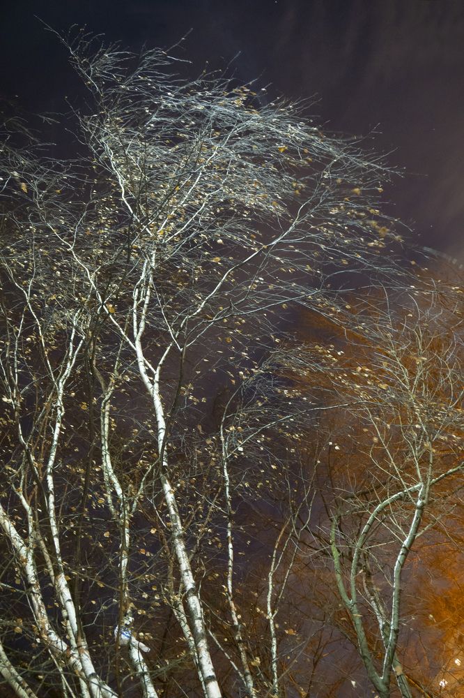 Photograph by Ника Кит