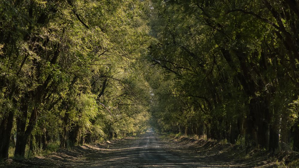 Тайное место