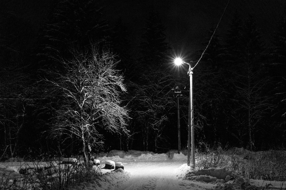 Photograph by Виталий Кострица