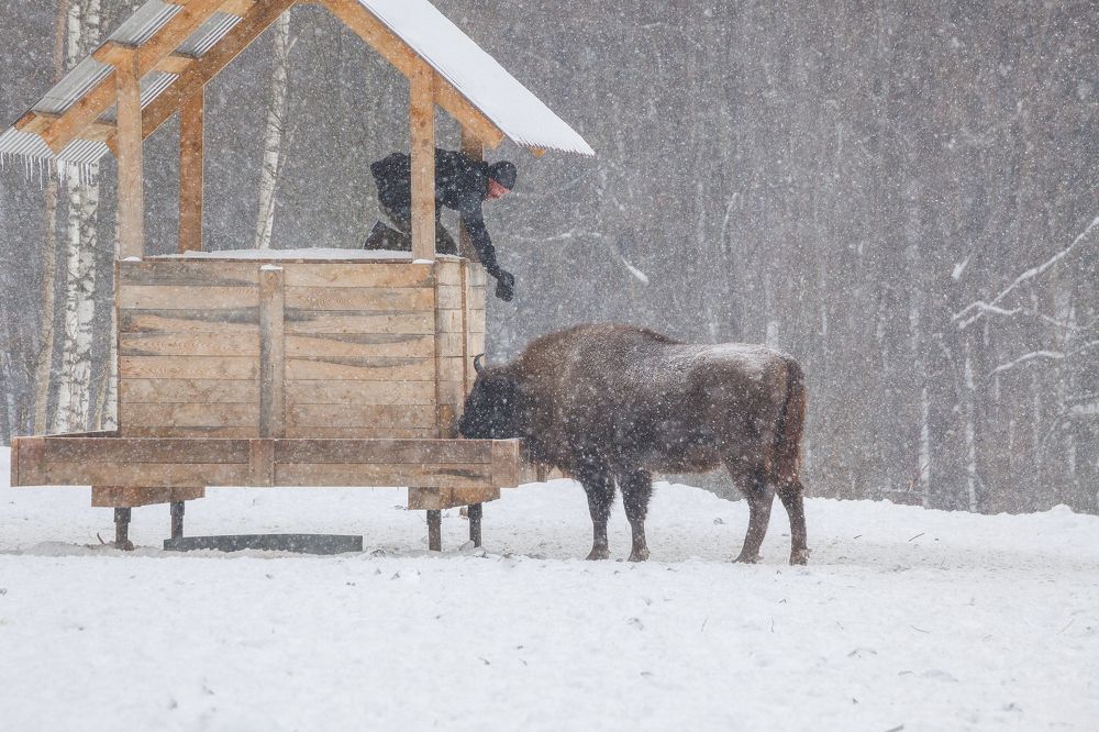 Точка съемки.