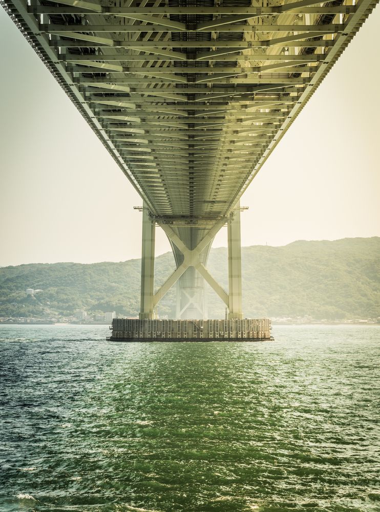 Photograph by Photons Reflectitur