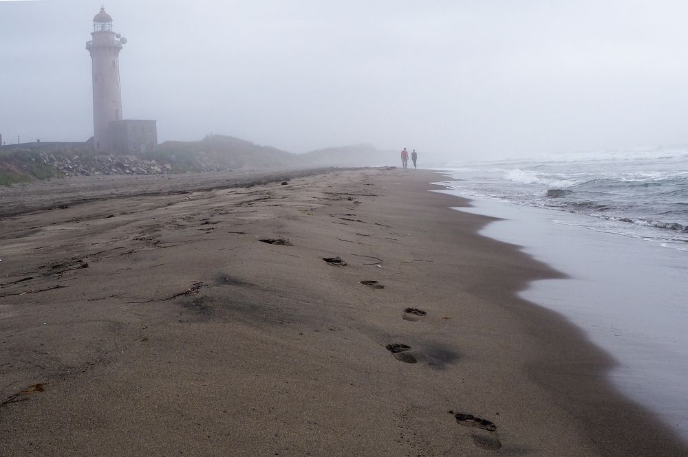 Туманный берег моря