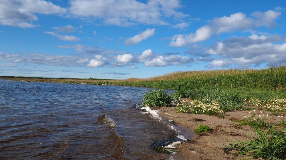 На берегу озера