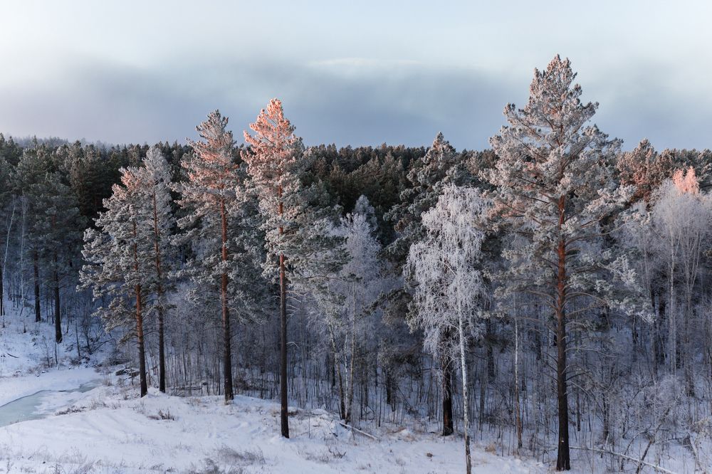 и оранжевые метки солнца ...