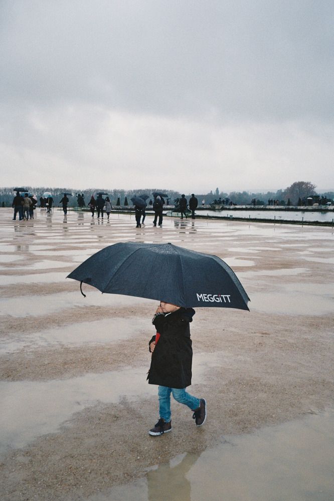 Umbrella