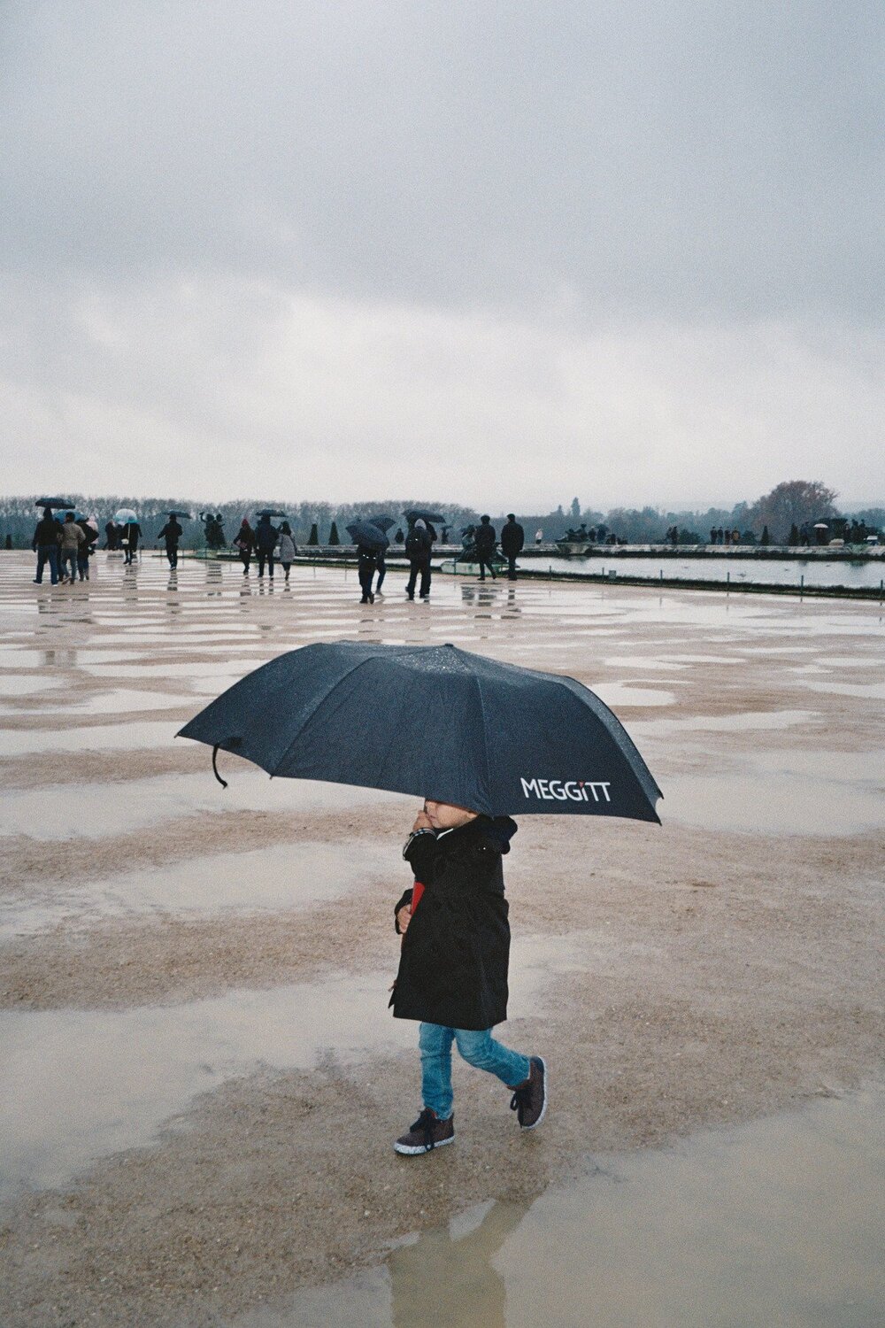 Umbrella
