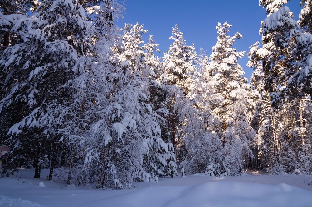 Когда солнце уходит за горизонт.