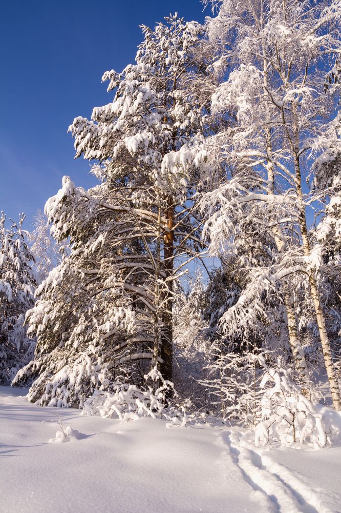 Одинокий путник.