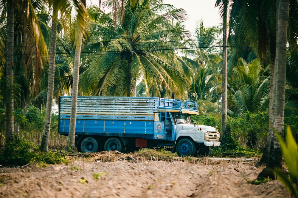 Кокосовоз - харизматичный,  не правда ли :)