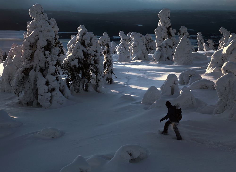 В стране великанов