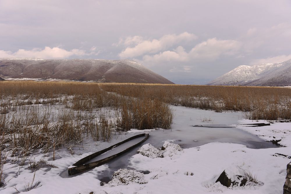 Moment of ice - Small Prespa Lake - Albania