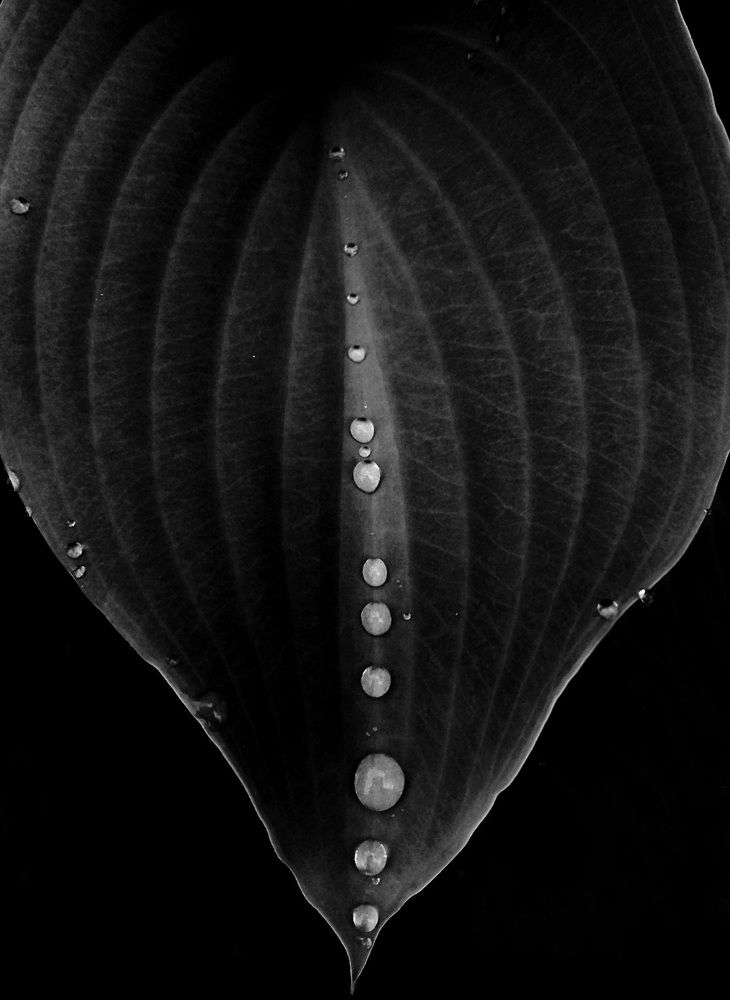 Фотография автора Владислава Андрюнина