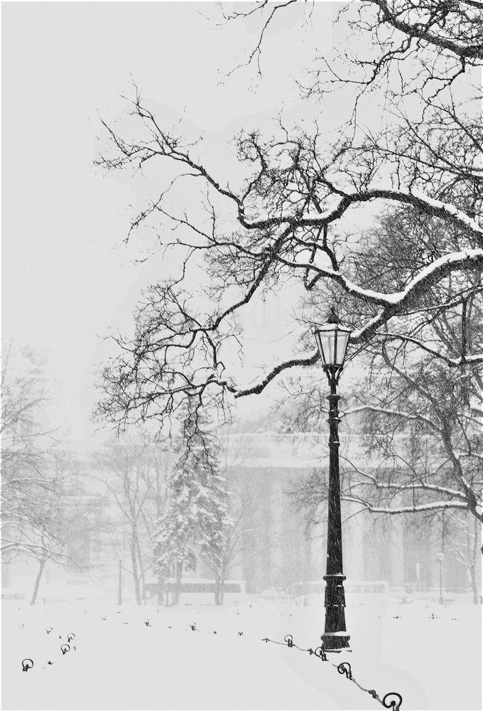 Photograph by Надежда Буаллаг