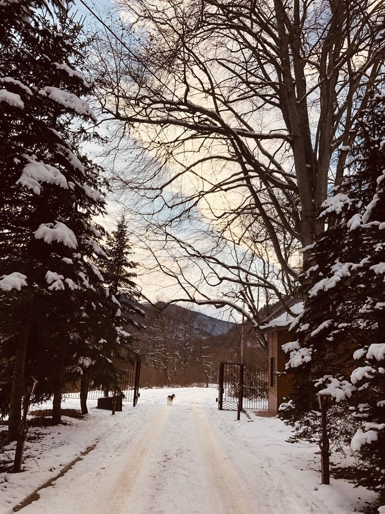 Photograph by Nazifat Izhaeva