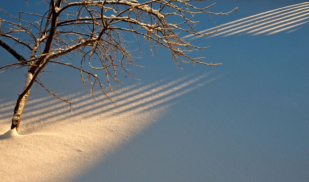 Струны зимы