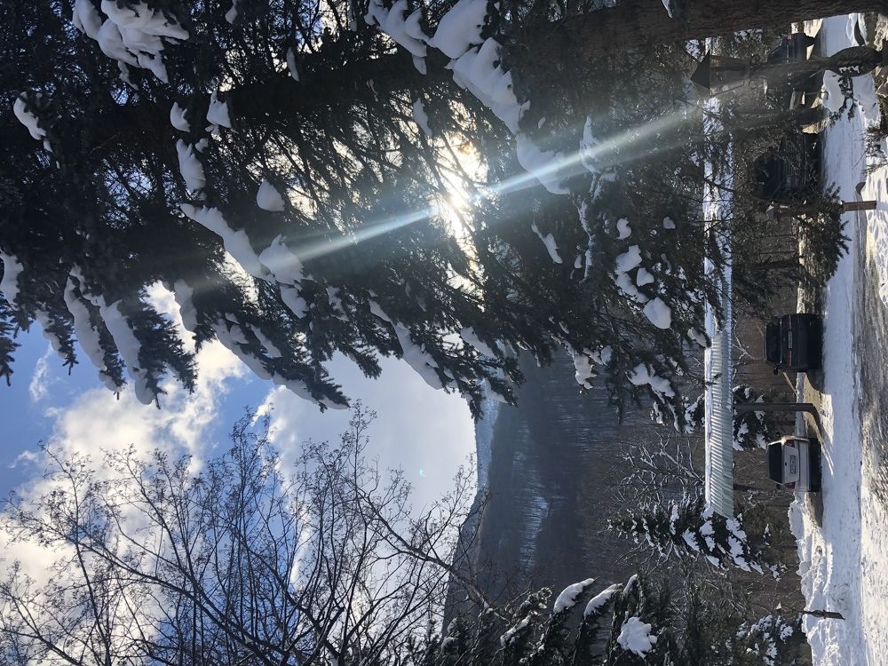 Photograph by Nazifat Izhaeva