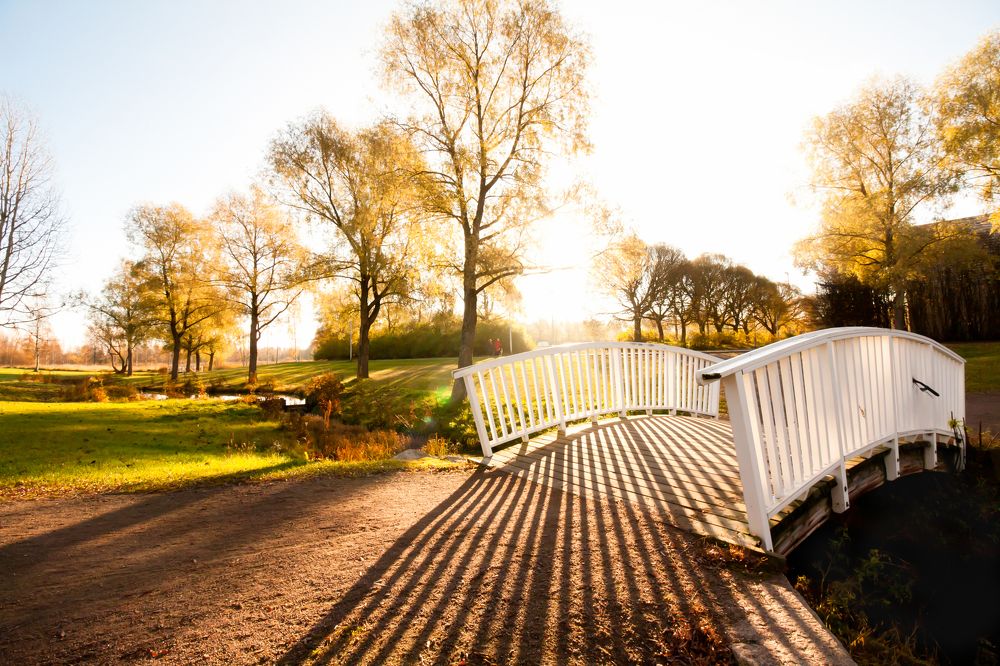 Bridge and shadow