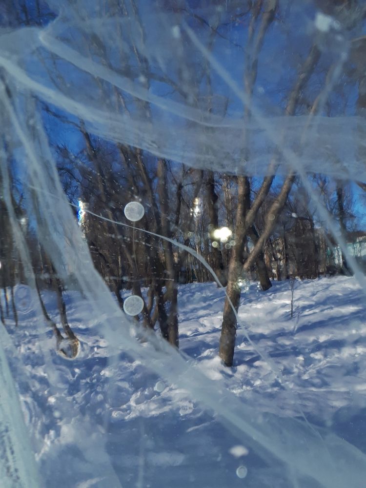 Photograph by Фролова Диляра