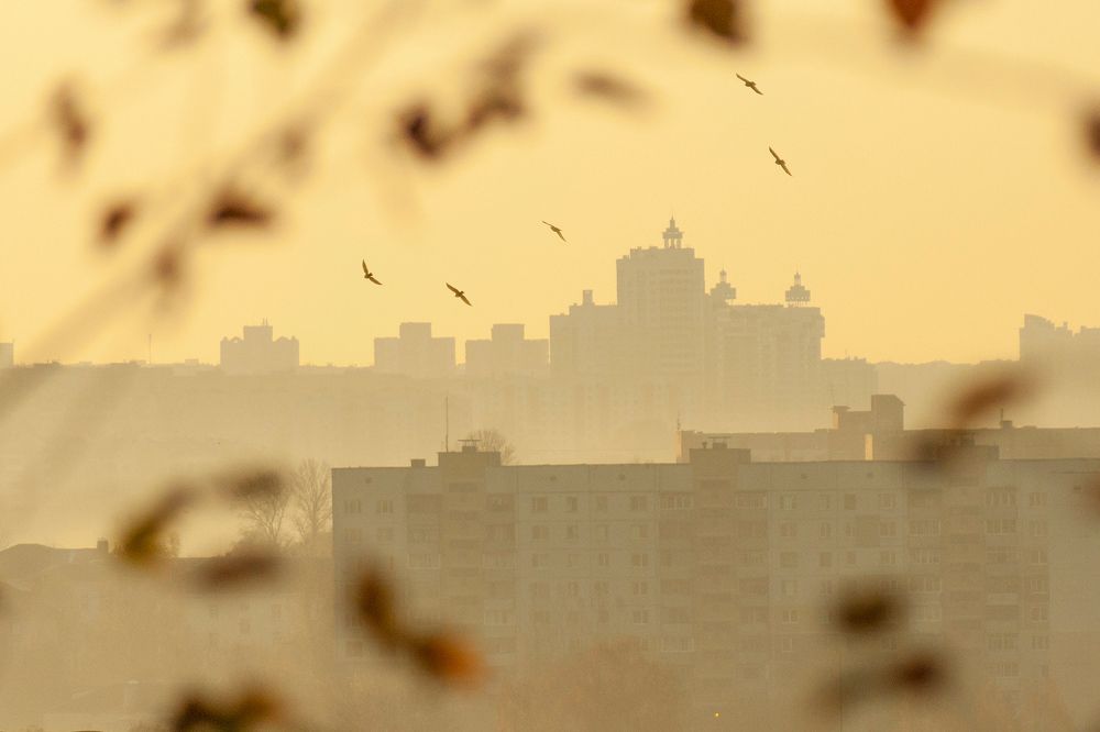 Утро над Витебском