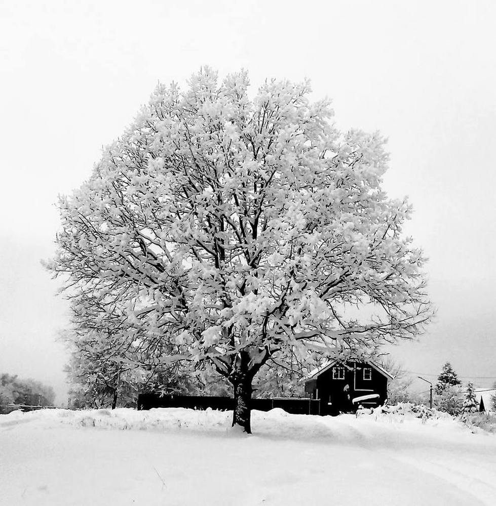 Photograph by Нина Минченко