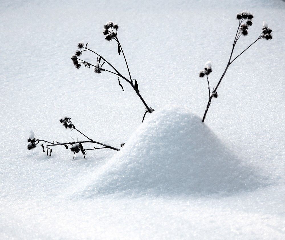 Photograph by Нина Минченко