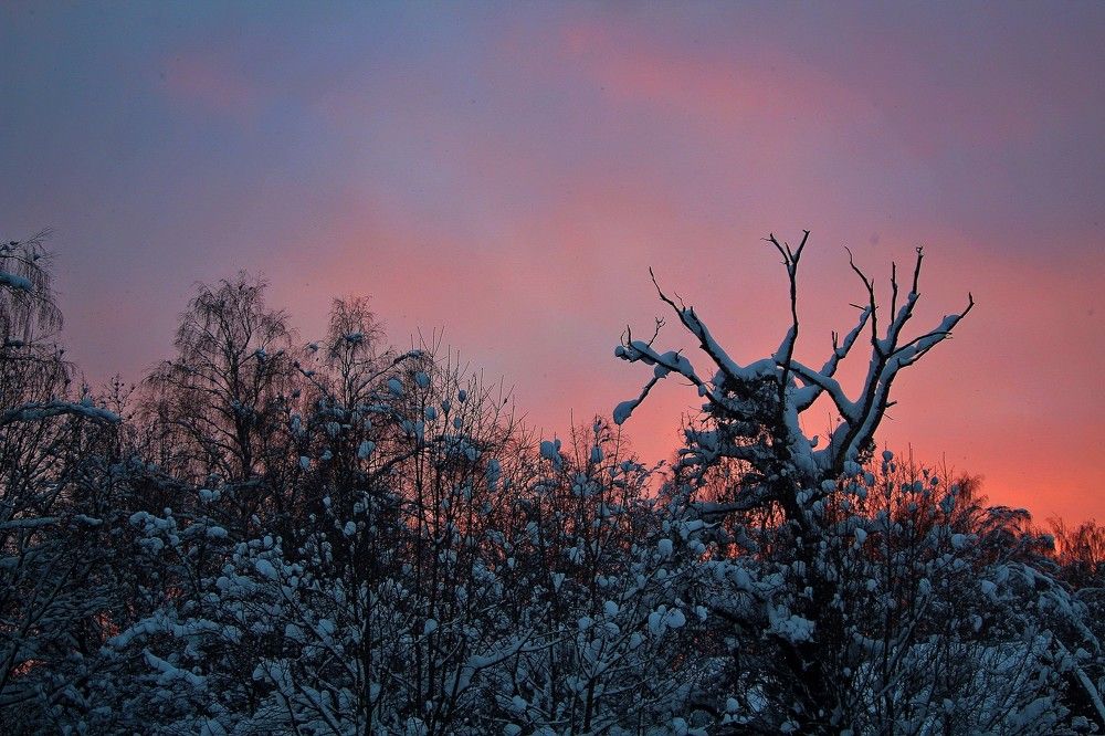 Photograph by Нина Минченко