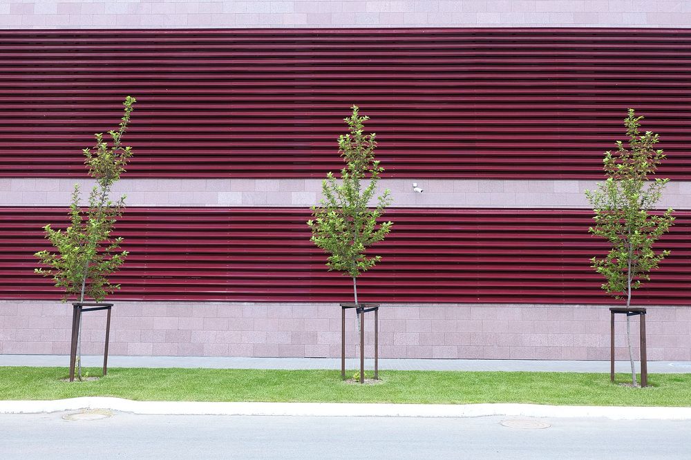 Photograph by Евгения Цой